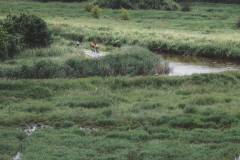 TDebelle_BoleroGravel_Hageland_02062024-355